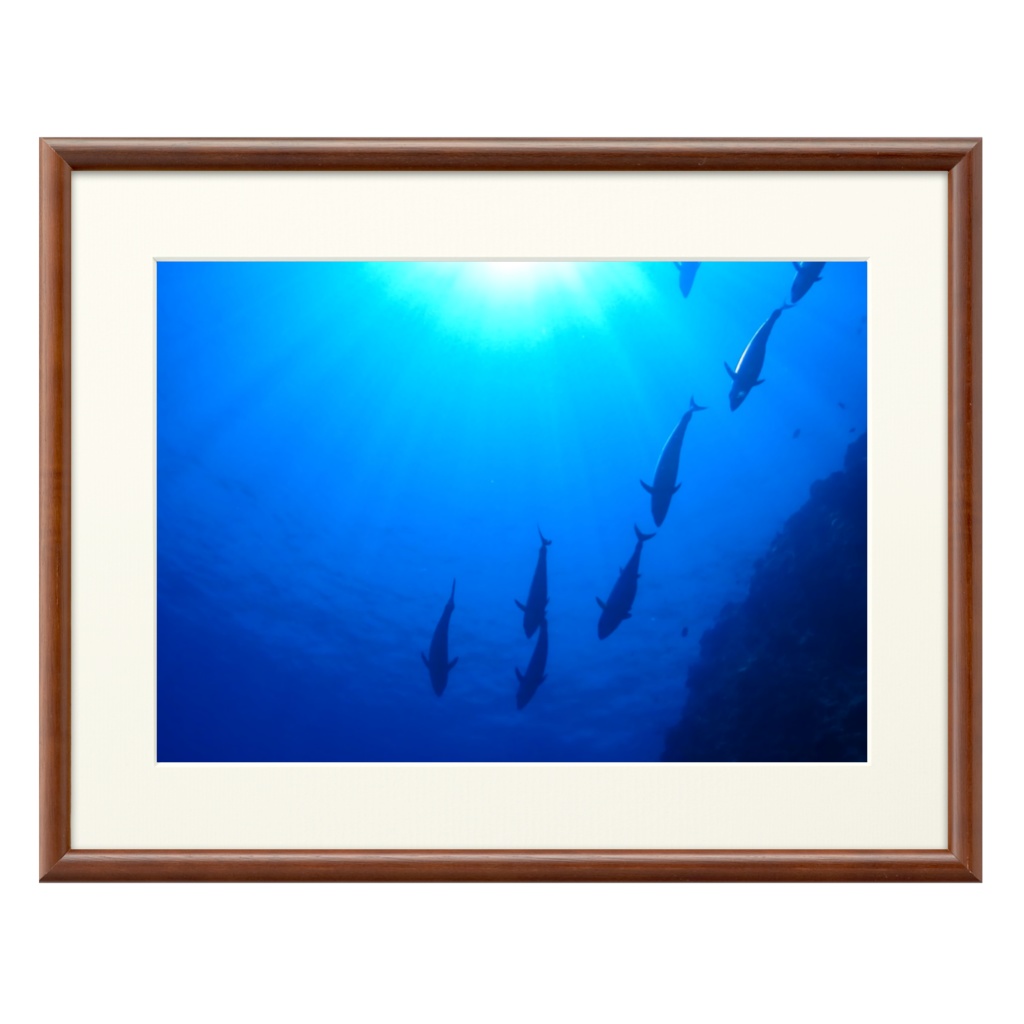 青の世界 - プリモアート