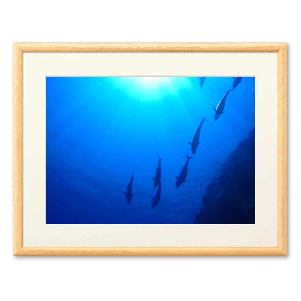 青の世界 - プリモアート