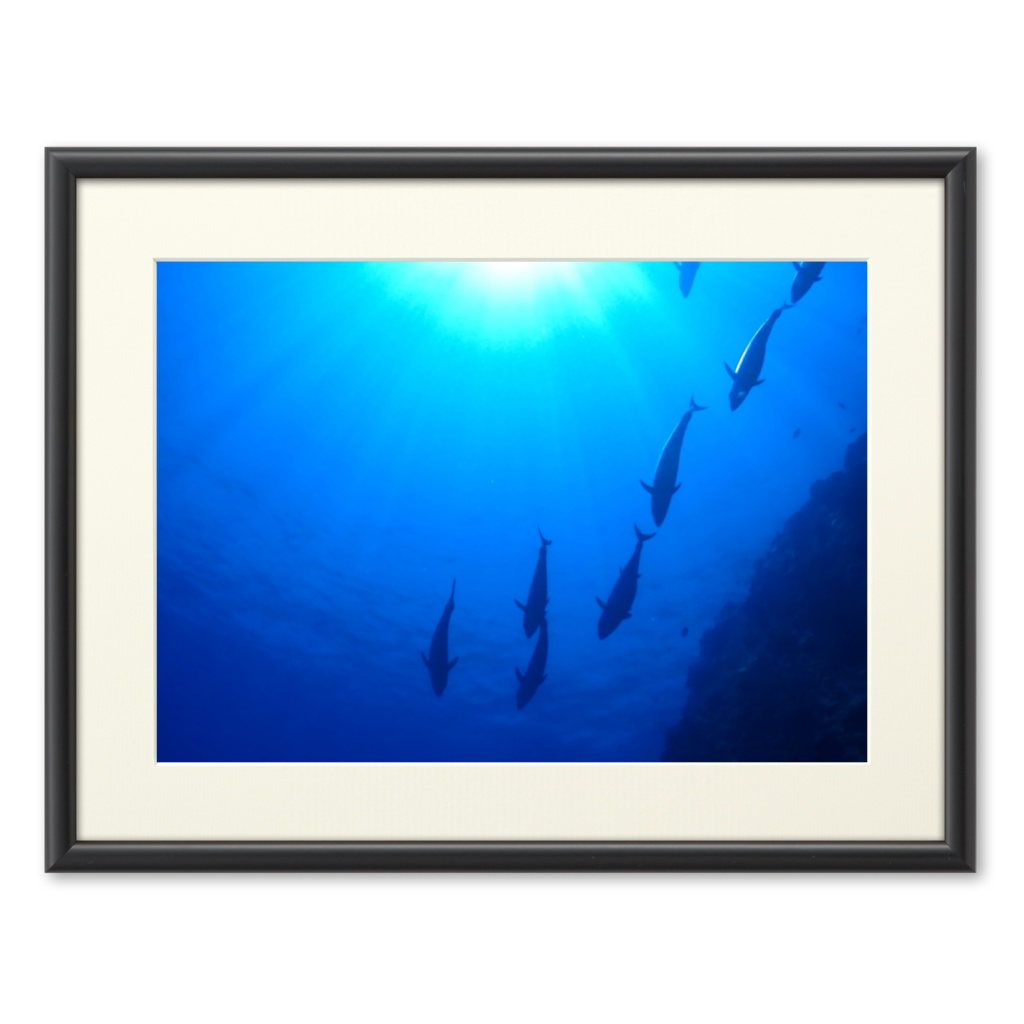 青の世界 - プリモアート