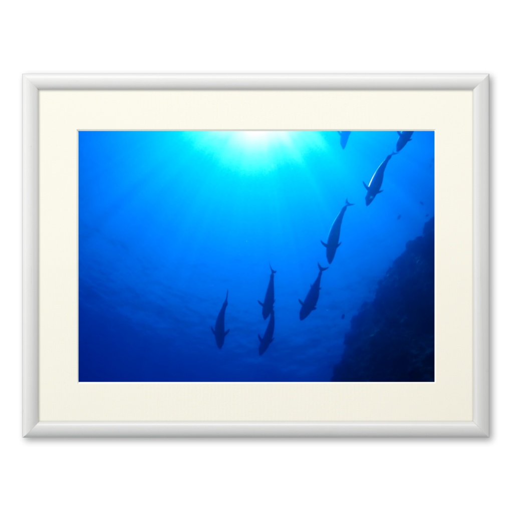 青の世界 - プリモアート