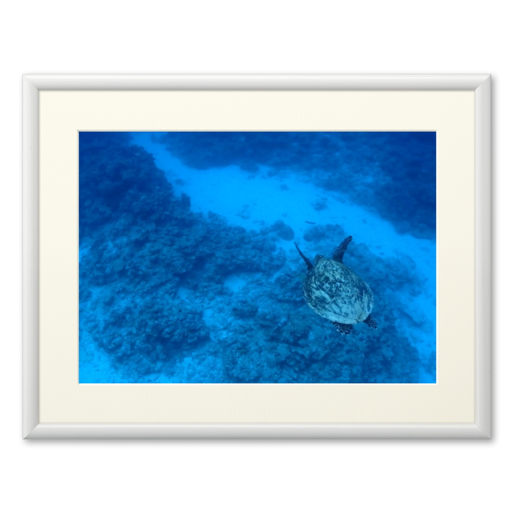 青の世界 - プリモアート