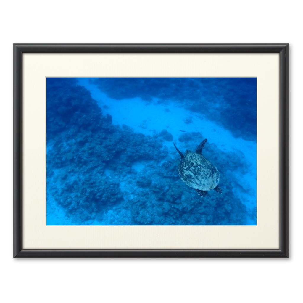 青の世界 - プリモアート