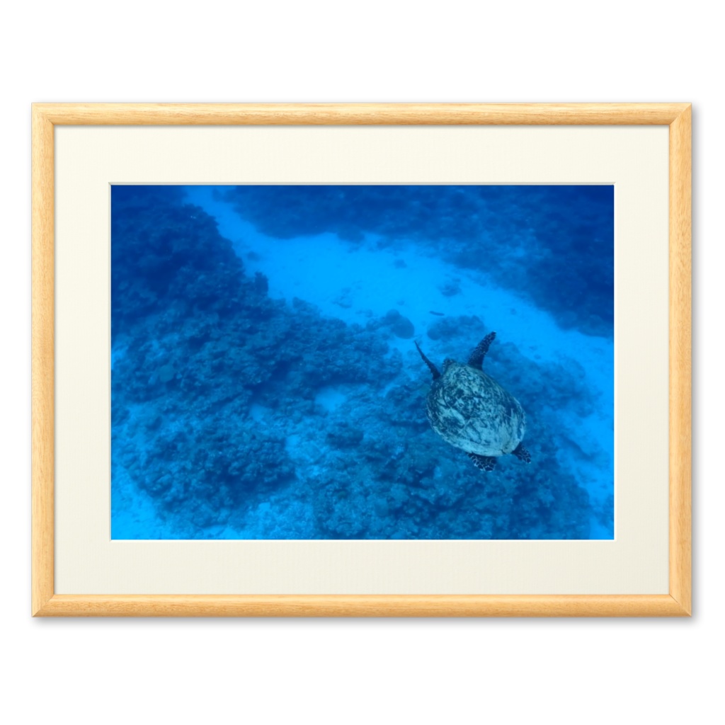 青の世界 - プリモアート