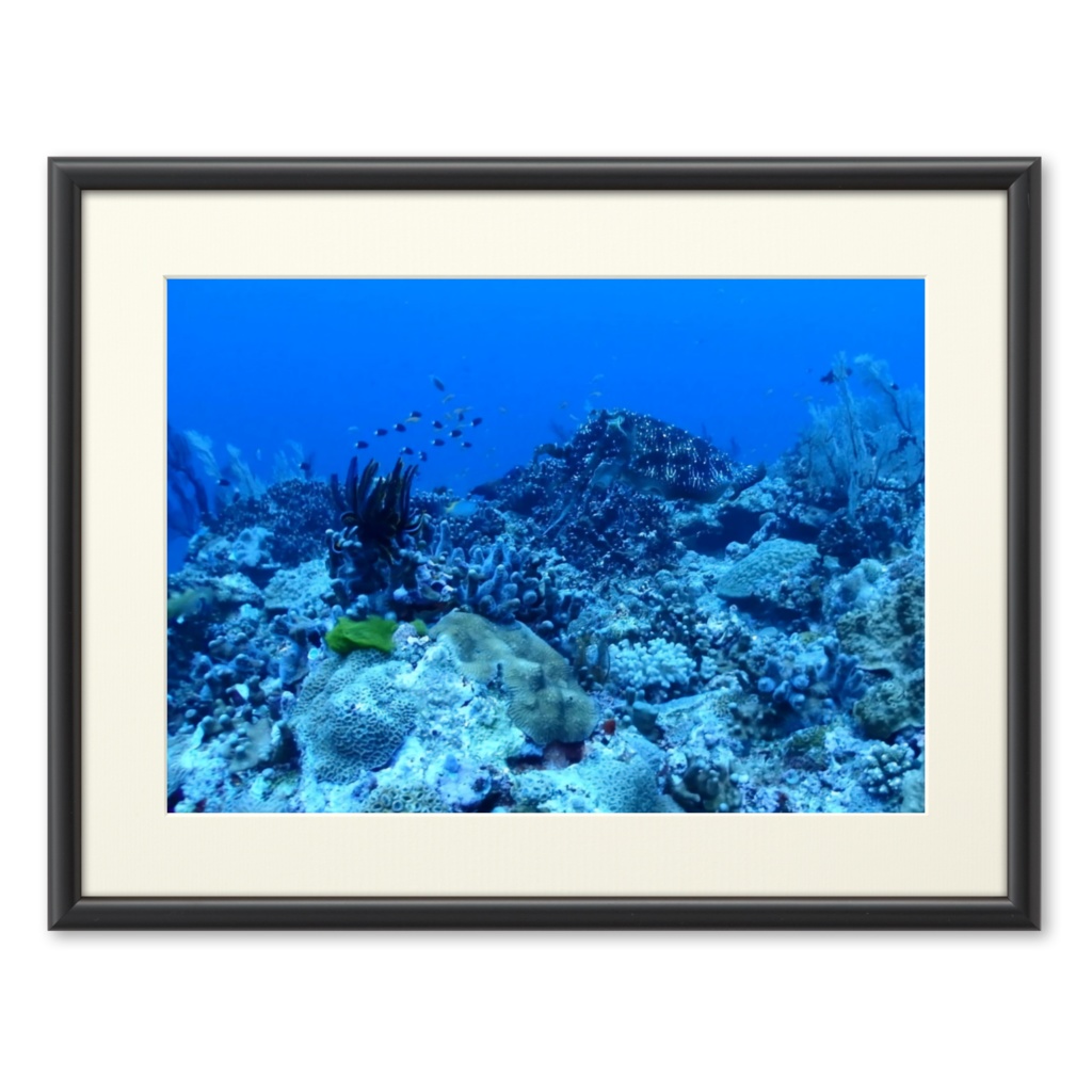 青の世界 - プリモアート