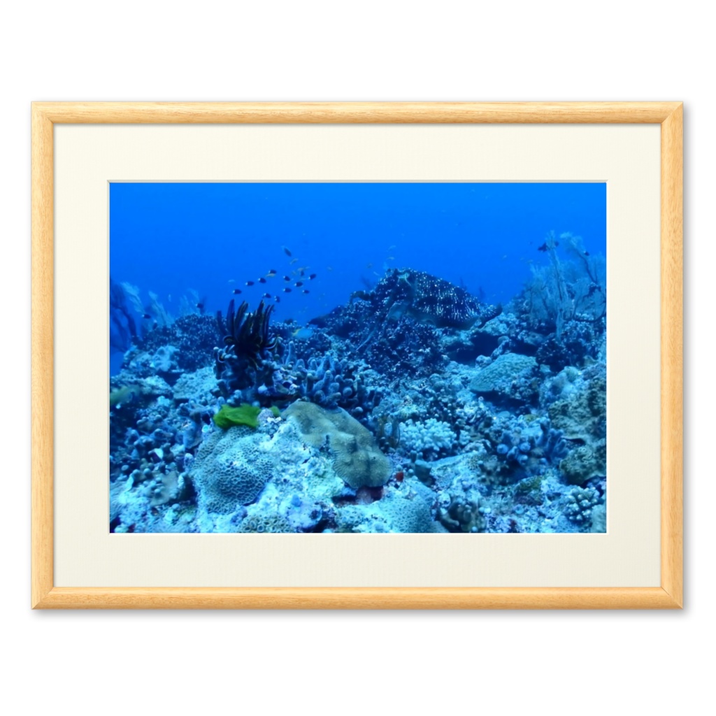 青の世界 - プリモアート