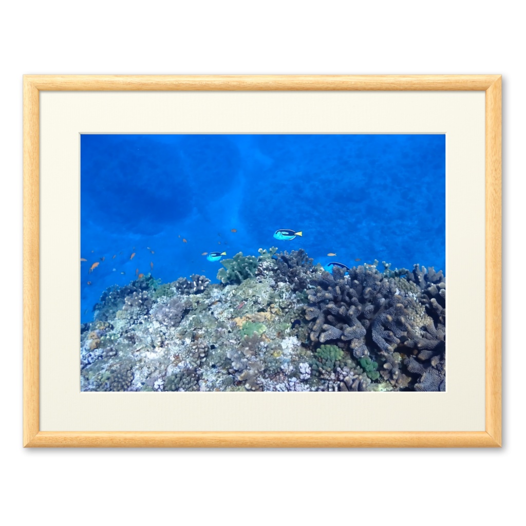 青の世界 - プリモアート