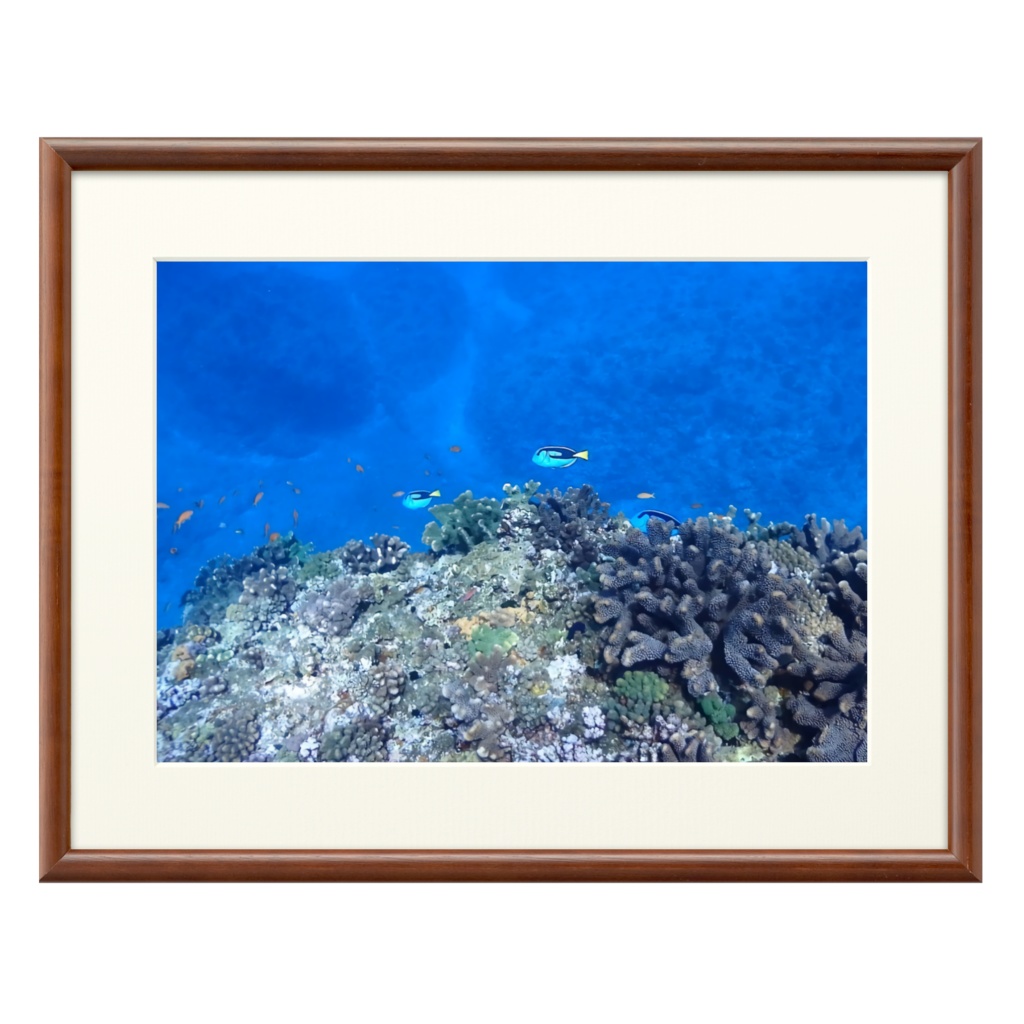 青の世界 - プリモアート