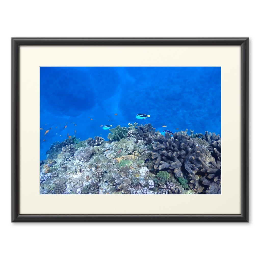 青の世界 - プリモアート