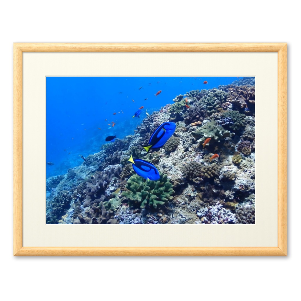 青の世界 - プリモアート