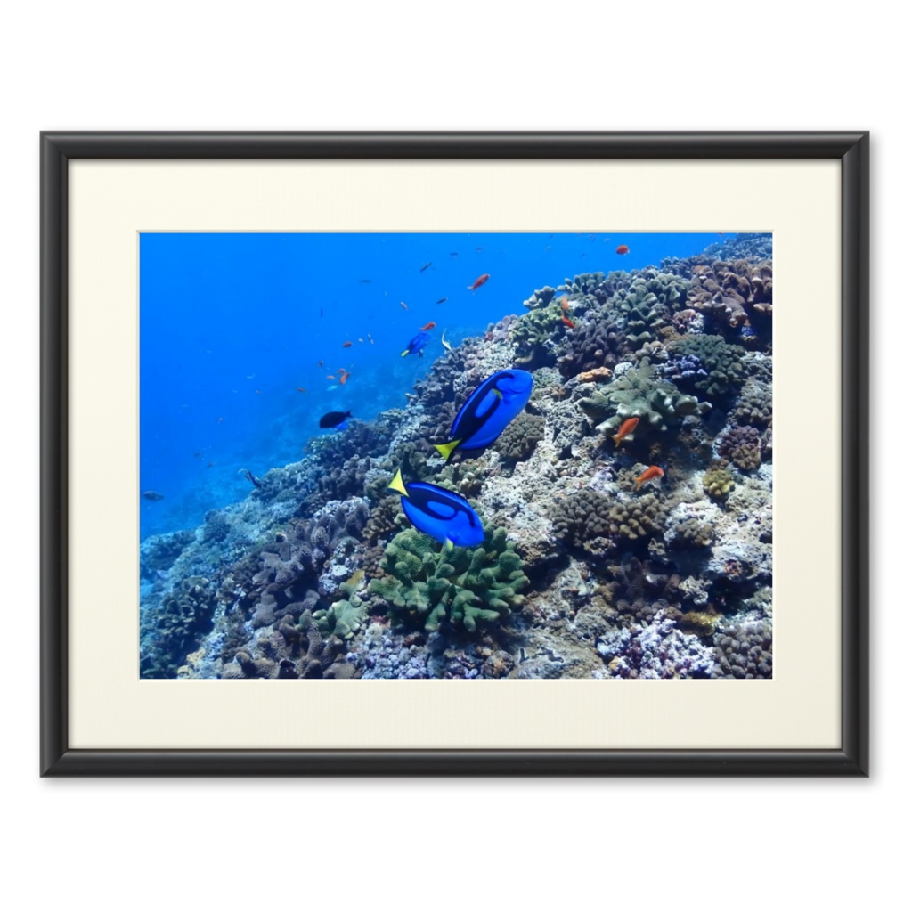 青の世界 - プリモアート