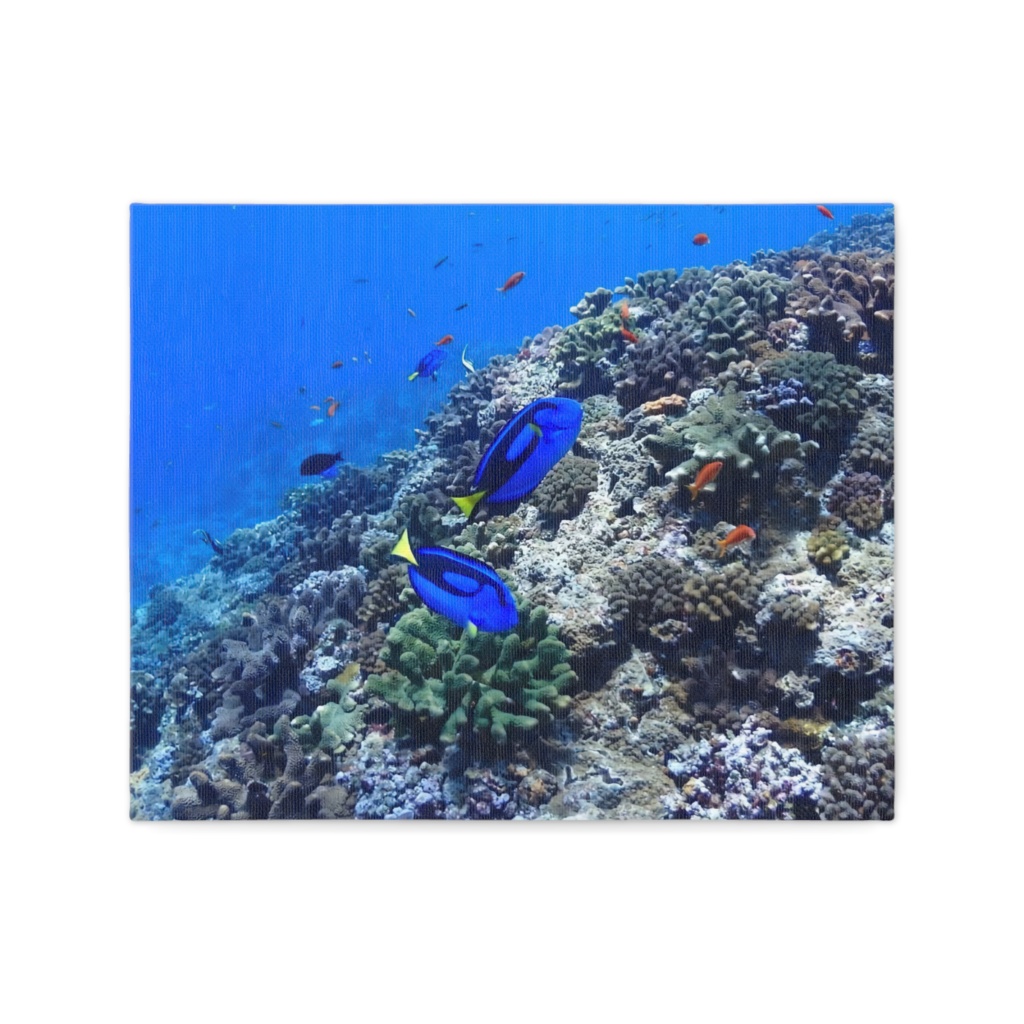 青の世界 - キャンバス