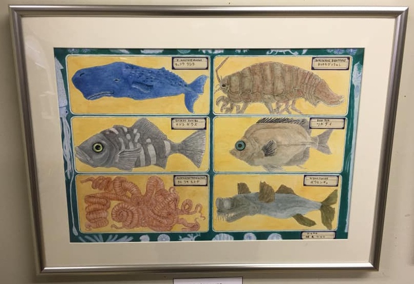 相良つつじ作品「深海生物標本」