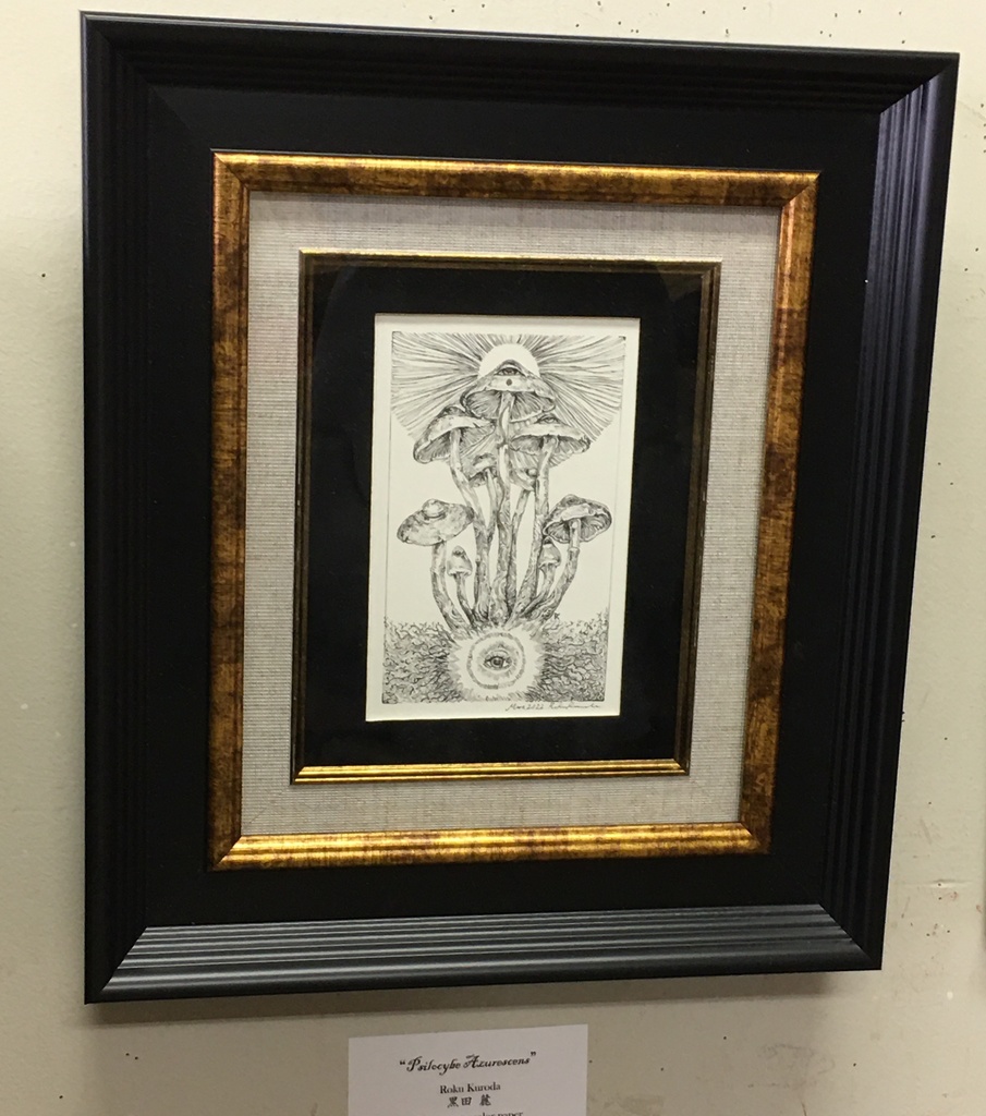 黒田麓作品「Psilocybe Azurescens」