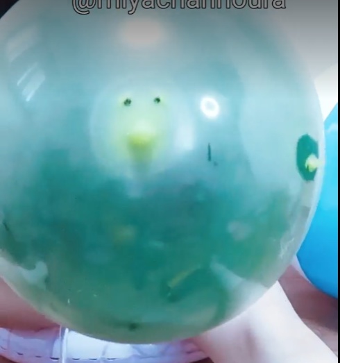 動物トイ風船に風船を入れてみた