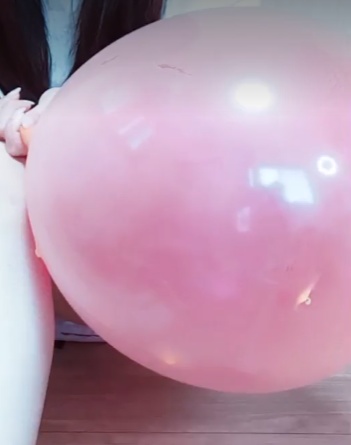 動物トイ風船に風船を入れてみた