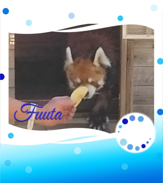 第一弾カルピスウォターオリジナルラベル缶