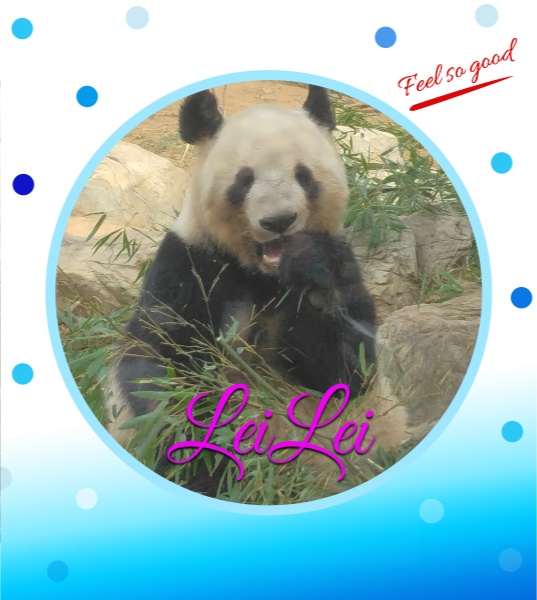 第一弾カルピスウォターオリジナルラベル缶