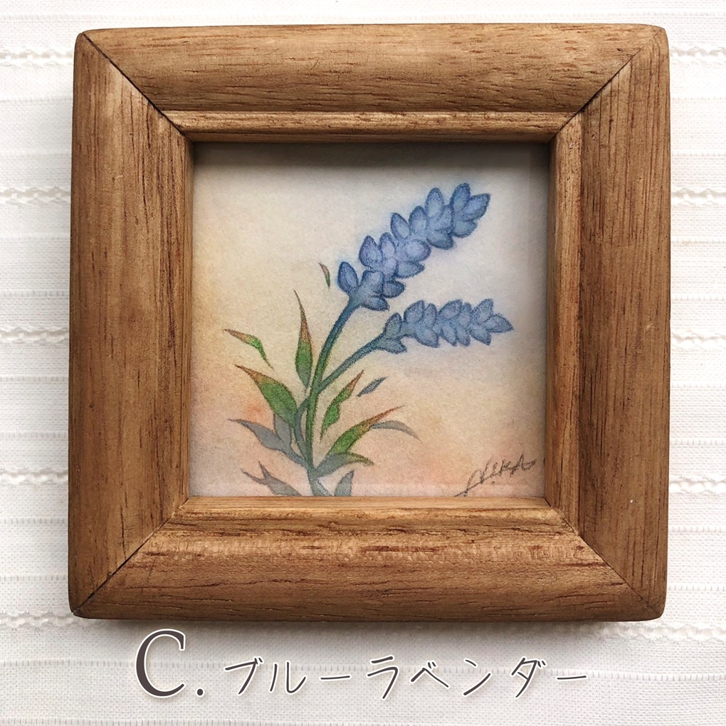 ミニ原画 No.1(2024/06)