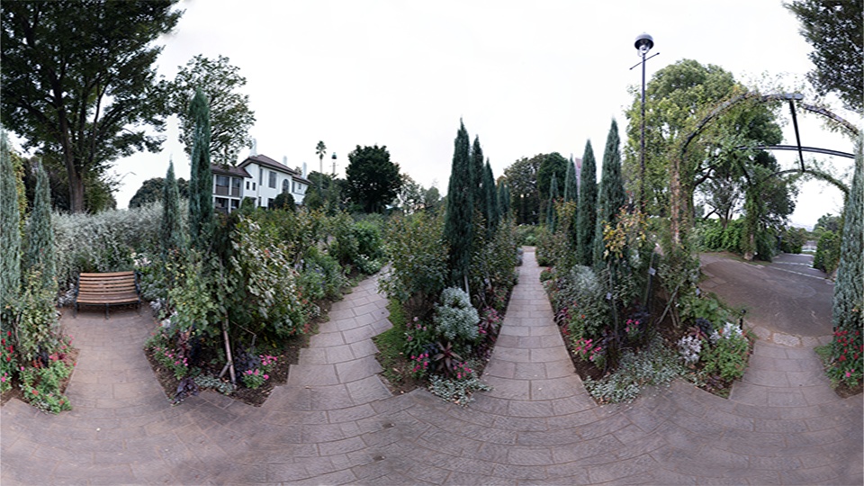 頭の中、花園シェーダー