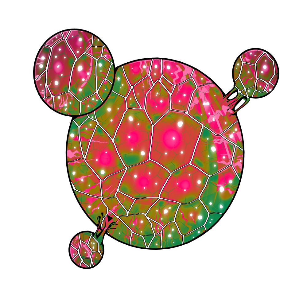 ハスターリク・3種類