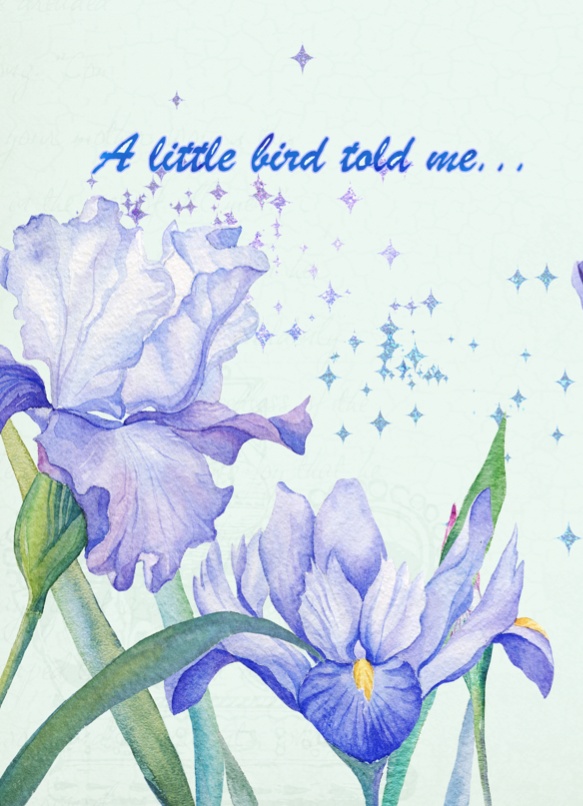 little bird told me....