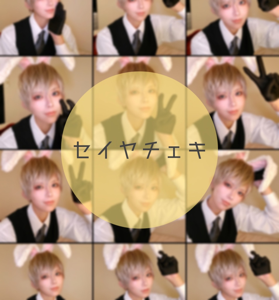 セイヤ⭐️チェキ