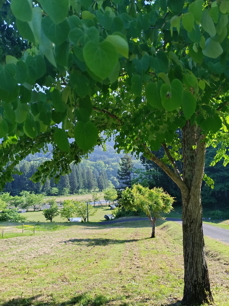 自然風景
