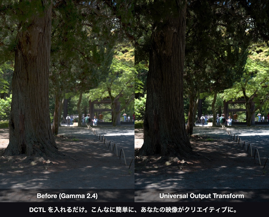 Universal Output Transform|DaVinci Resolve 用 出力変換DCTL(ACES 2.0 色域圧縮・11カメラ対応)