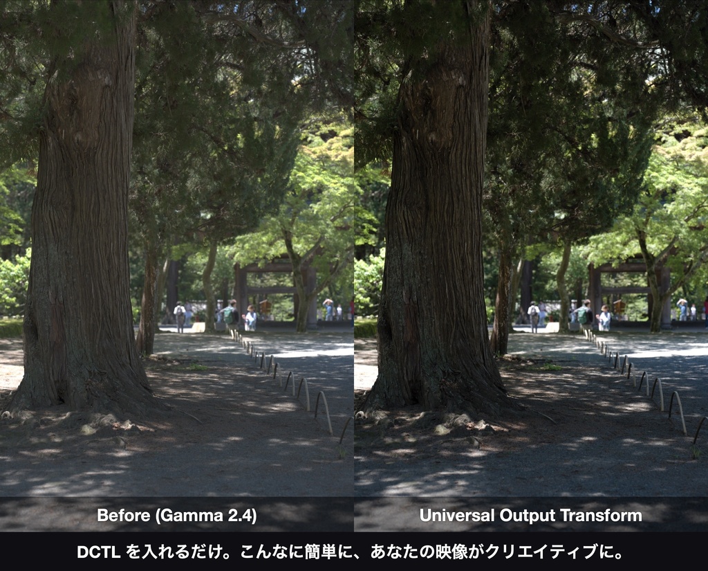 Universal Output Transform|DaVinci Resolve 用 出力変換DCTL(ACES 2.0 色域圧縮・11カメラ対応)
