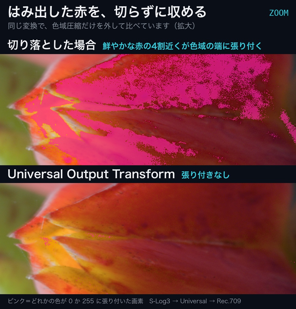 Universal Output Transform|DaVinci Resolve 用 出力変換DCTL(ACES 2.0 色域圧縮・11カメラ対応)