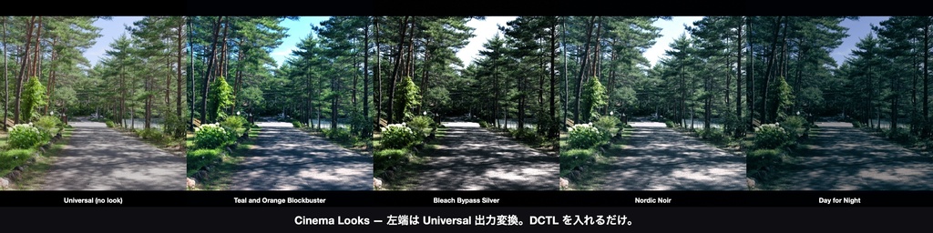 Cinema Looks 4|DaVinci Resolve 用 映画的グレードDCTL(効き量0〜1可変・11カメラ対応)
