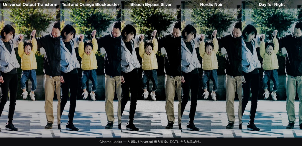 Cinema Looks 4|DaVinci Resolve 用 映画的グレードDCTL(効き量0〜1可変・11カメラ対応)