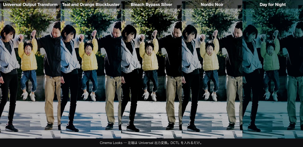 Cinema Looks 4|DaVinci Resolve 用 映画的グレードDCTL(効き量0〜1可変・11カメラ対応)