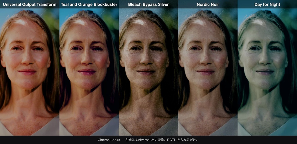 Cinema Looks 4|DaVinci Resolve 用 映画的グレードDCTL(効き量0〜1可変・11カメラ対応)