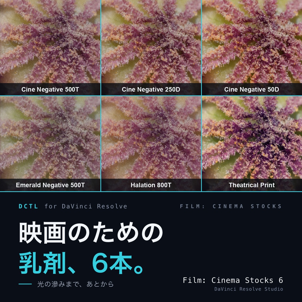 Film: Cinema Stocks 6|DaVinci Resolve 用 映画のための乳剤DCTL(ハレーション0〜2・粒0〜0.3・11カメラ対応)