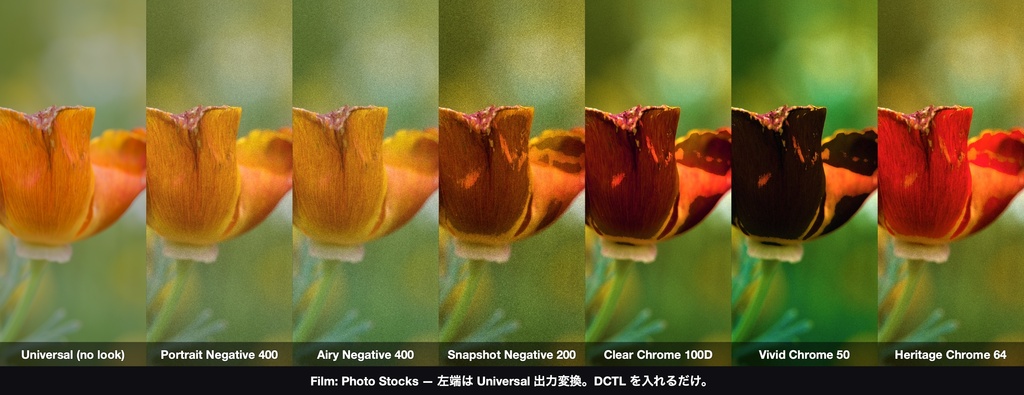Film: Photo Stocks 6|DaVinci Resolve 用 写真フィルムの乳剤DCTL(ネガ3・リバーサル3・11カメラ対応)