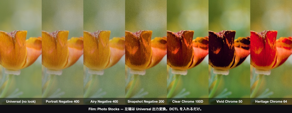 Film: Photo Stocks 6|DaVinci Resolve 用 写真フィルムの乳剤DCTL(ネガ3・リバーサル3・11カメラ対応)