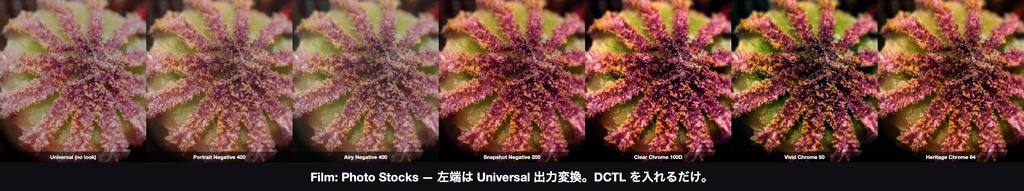 Film: Photo Stocks 6|DaVinci Resolve 用 写真フィルムの乳剤DCTL(ネガ3・リバーサル3・11カメラ対応)