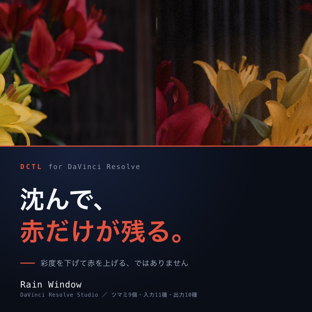 Rain Window｜DaVinci Resolve 用 沈んだ街に赤だけが残るルックDCTL（マット・ハレーション・11カメラ対応）