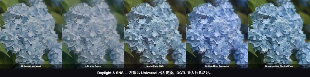 Daylight & SNS 4|DaVinci Resolve 用 明るく軽い日常ルックDCTL(効き量0〜1可変・11カメラ対応)