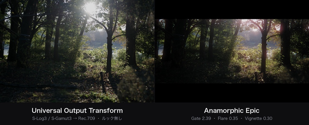 Anamorphic Epic|DaVinci Resolve 用 シネスコDCTL(2.39画角・光条・左右の落ち/11カメラ対応)