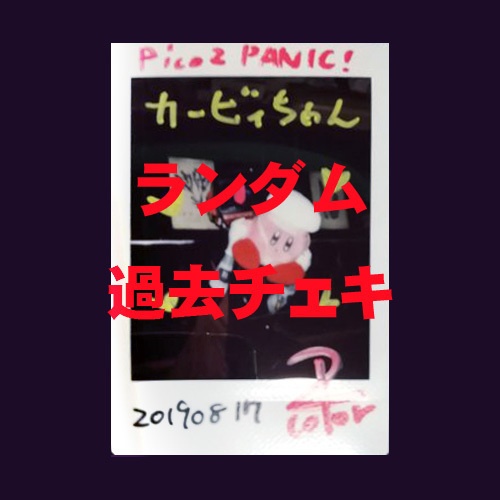過去チェキ（ランダム商品です）
