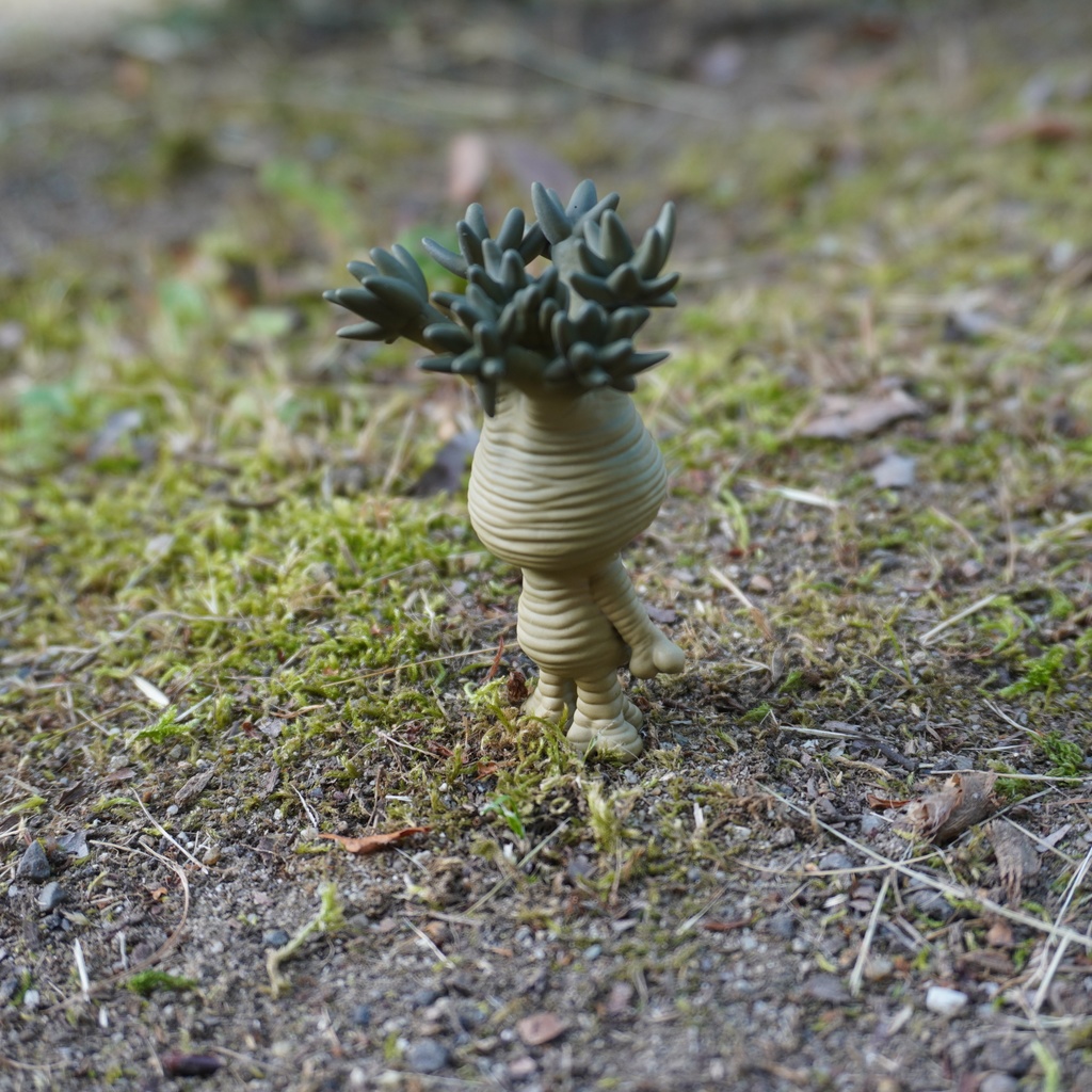 マンドラグラキ