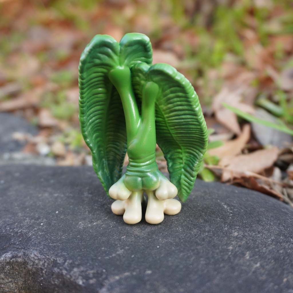 Mandragora × Anthurium veitchii