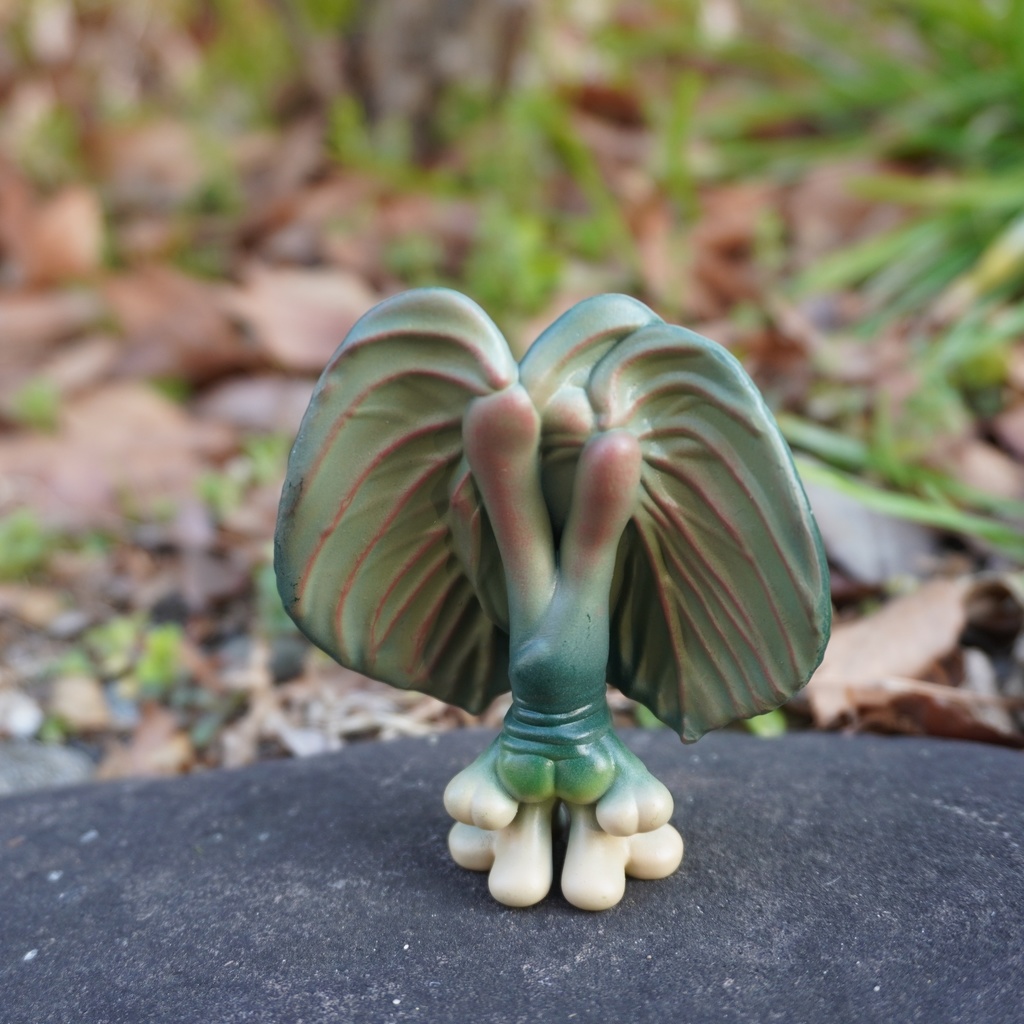 Mandragora × Anthurium KOS