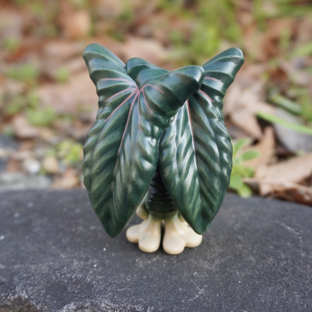 Mandragora × Anthurium RLFS