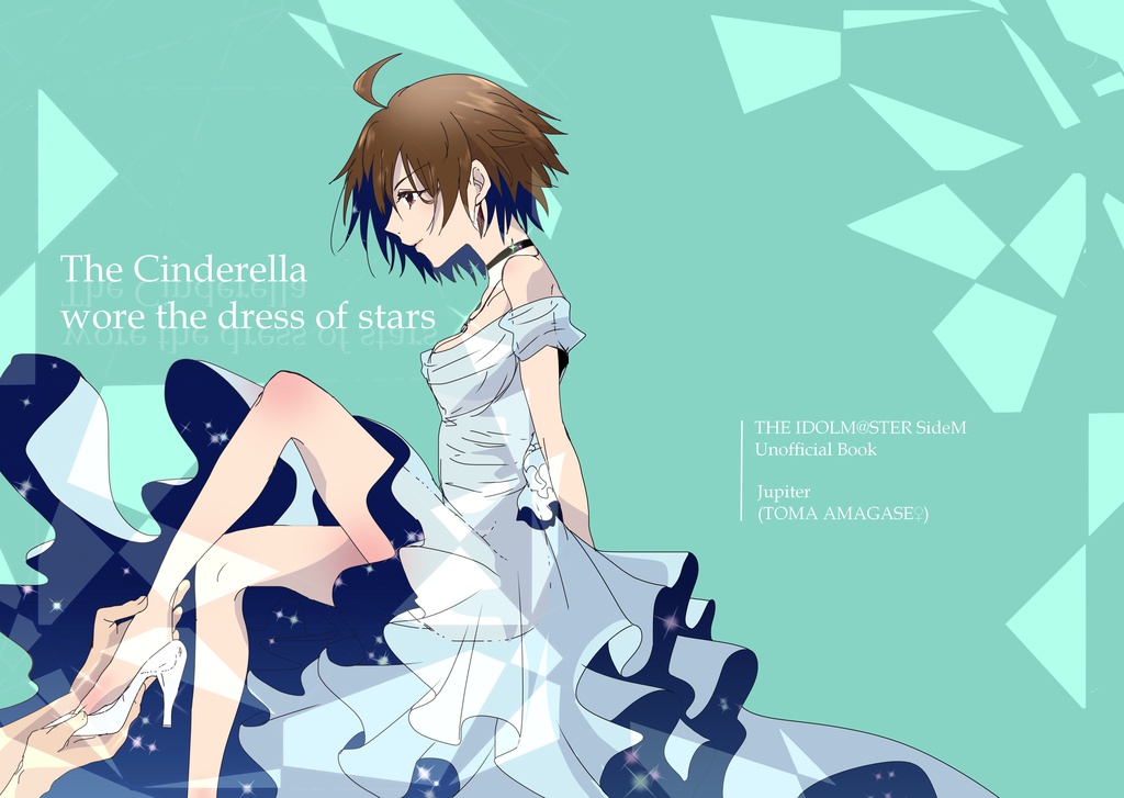 The Cinderella　wore the dress of stars