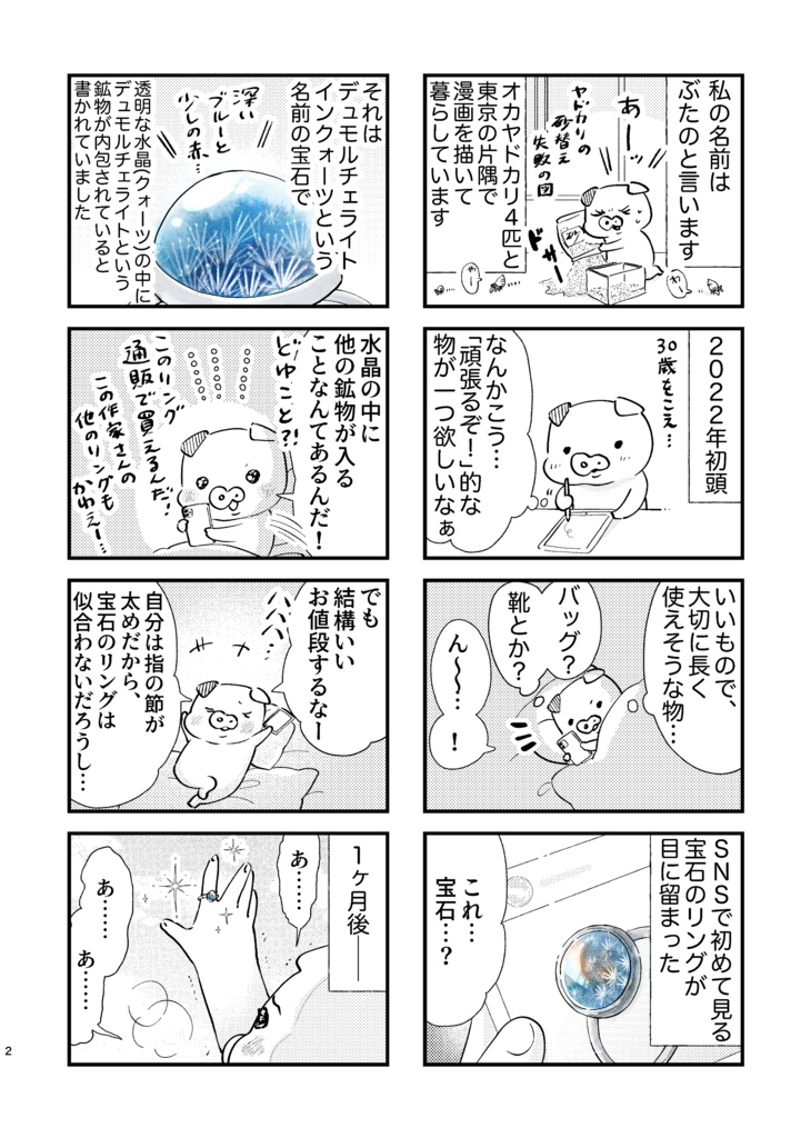 石ぶた日記1◼️無料電子書籍◼️