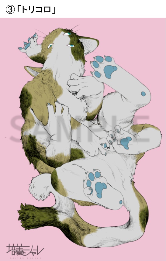 ポストカード絵柄10種