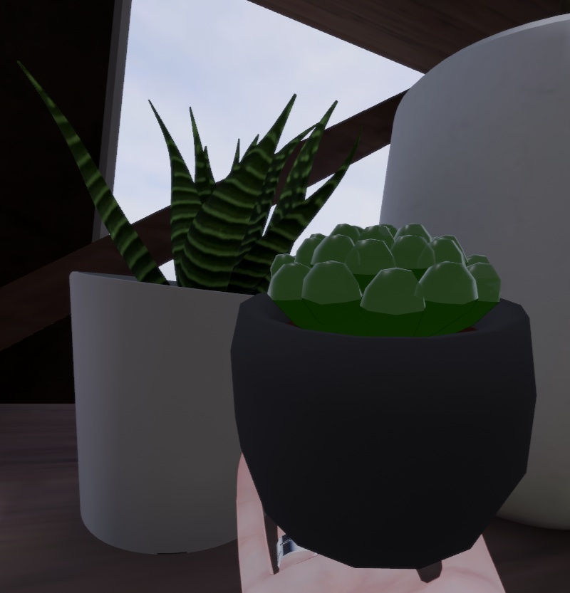 ハオルチア オブツーサの3Dモデルとオブツーサピアス